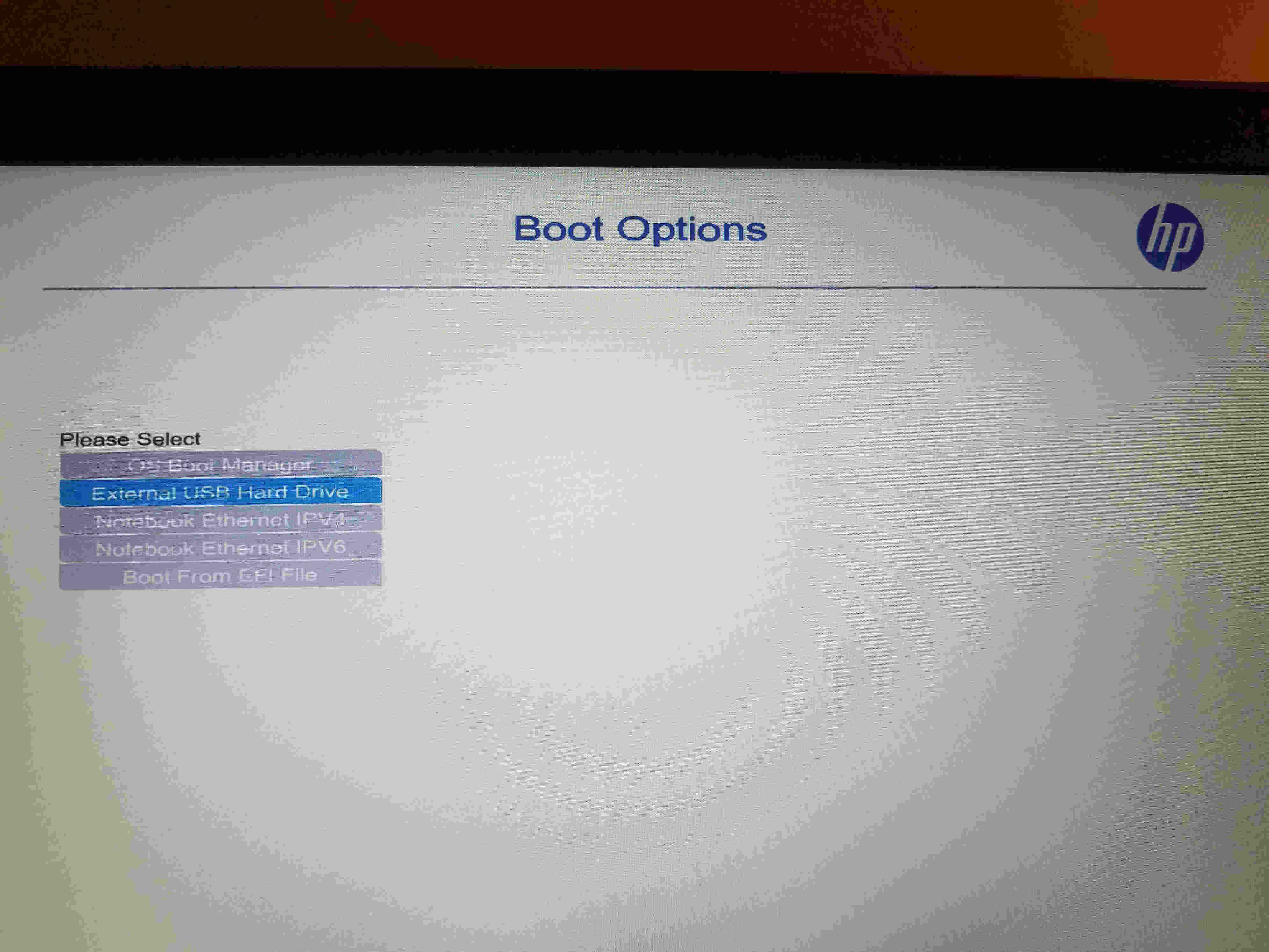 HP, boot options.jpg